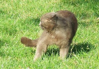 Прикрепленное изображение: t2.jpg